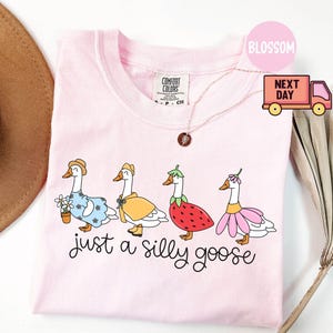 Peut inclure: T-shirt rose clair avec une illustration fantaisiste de quatre oies v&ecirc;tues de tenues vari&eacute;es, dont une robe, un imperm&eacute;able, une fraise et une jupe fleurie. Le texte "just a silly goose" est en dessous.