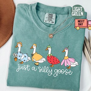 Peut inclure: T-shirt vert clair avec l'inscription "just a silly goose" en &eacute;criture blanche. Le t-shirt pr&eacute;sente une illustration fantaisiste de quatre oies, chacune orn&eacute;e de tenues uniques, dont une robe &agrave; fleurs et un costume de fraise.