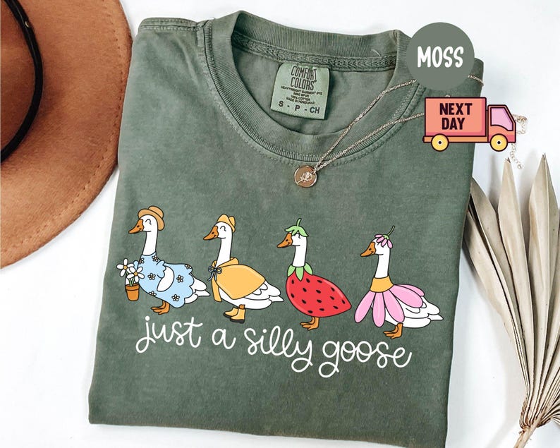 Peut inclure: T-shirt vert mousse avec une illustration fantaisiste de quatre oies v&ecirc;tues de tenues vari&eacute;es. L'expression "just a silly goose" est &eacute;crite en cursive en dessous. Le t-shirt a un col rond et des manches courtes.