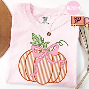May include: A pale pink t-shirt with an embroidered pumpkin design. The pumpkin has vertical orange and white stripes, a pink bow, and green leaves. The shirt has a Comfort Colors tag.
