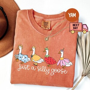 Peut inclure: Un t-shirt corail avec une illustration fantaisiste de quatre oies v&ecirc;tues de diff&eacute;rentes tenues. L'expression "just a silly goose" est &eacute;crite en dessous. Un chapeau marron et un collier en or sont &eacute;galement visibles.