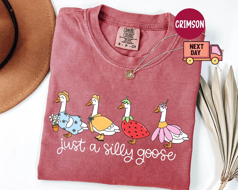 Peut inclure: T-shirt bordeaux avec une illustration fantaisiste de quatre oies v&ecirc;tues de tenues vari&eacute;es, dont une robe fleurie et un costume de fraise. Le texte "just a silly goose" est &eacute;crit en cursive sous les oies.
