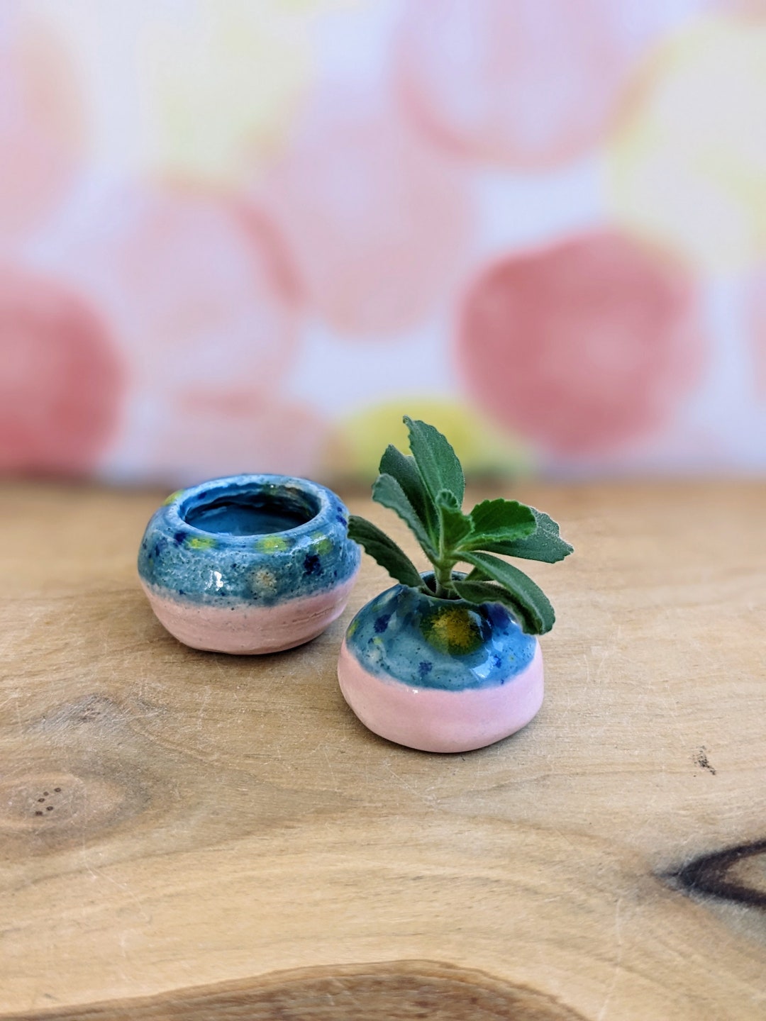 Two Toned Koi Pond and Pink Ceramic Mini Pots Mini Vase Etsy