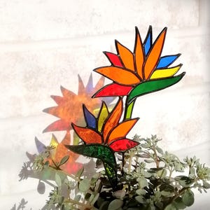 Può includere: Due fiori di uccello del paradiso in vetro colorato con steli e foglie verdi. I fiori sono arancioni, gialli, rossi e blu.