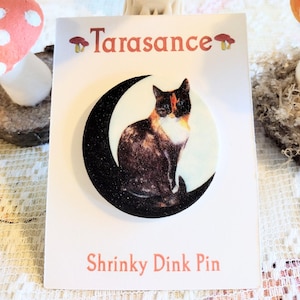 Celestial Cat Pin