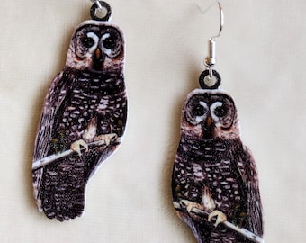 Spotted Owl Shrink Plastic Earrings