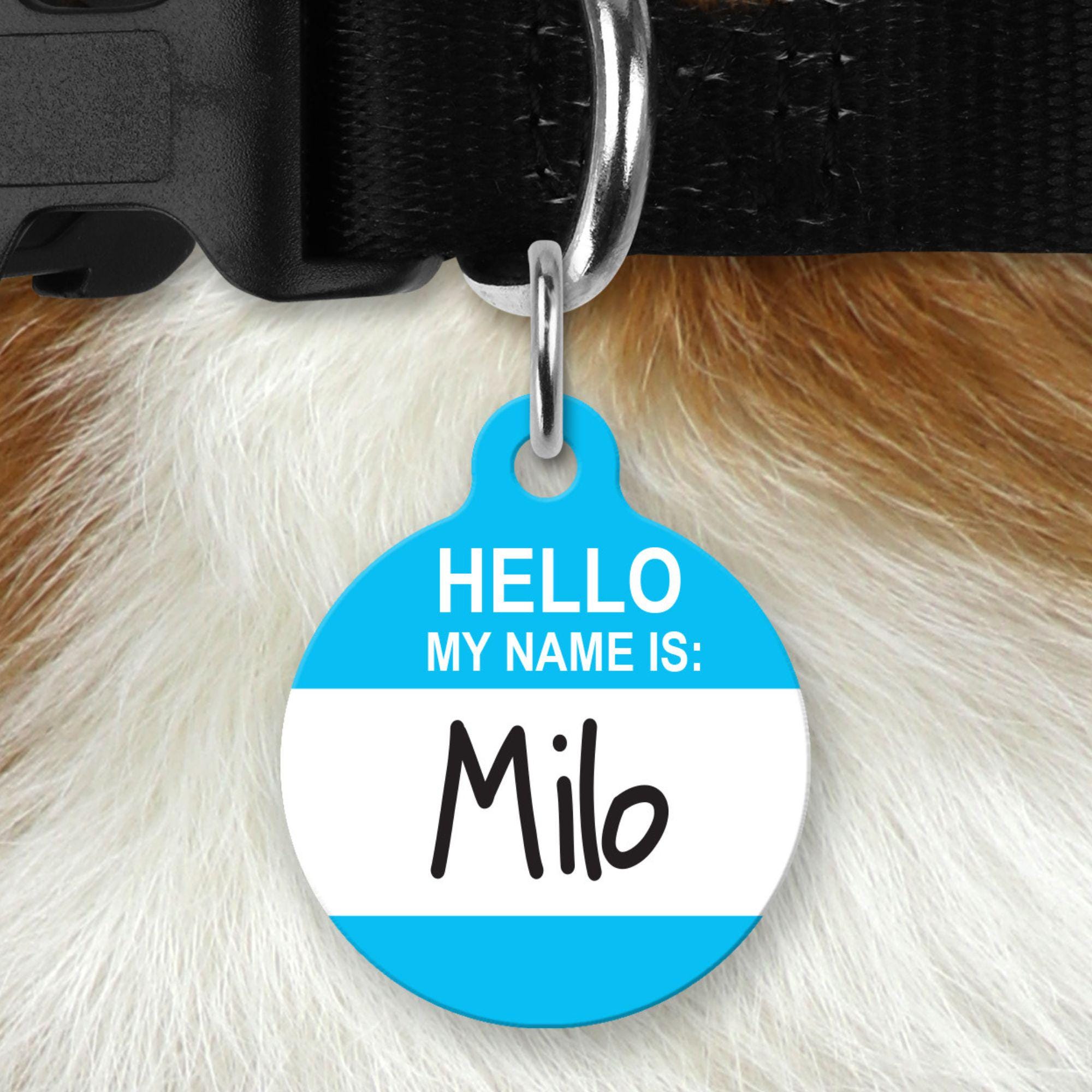 Dog Tracker Petsmart Tag Dog Collar Petsmart Engraved Dog Tags Dog
