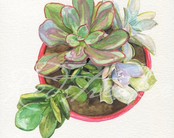 Succulent Assemblage II by Redstreake, plants, houseplant, watercolor painting of succulent