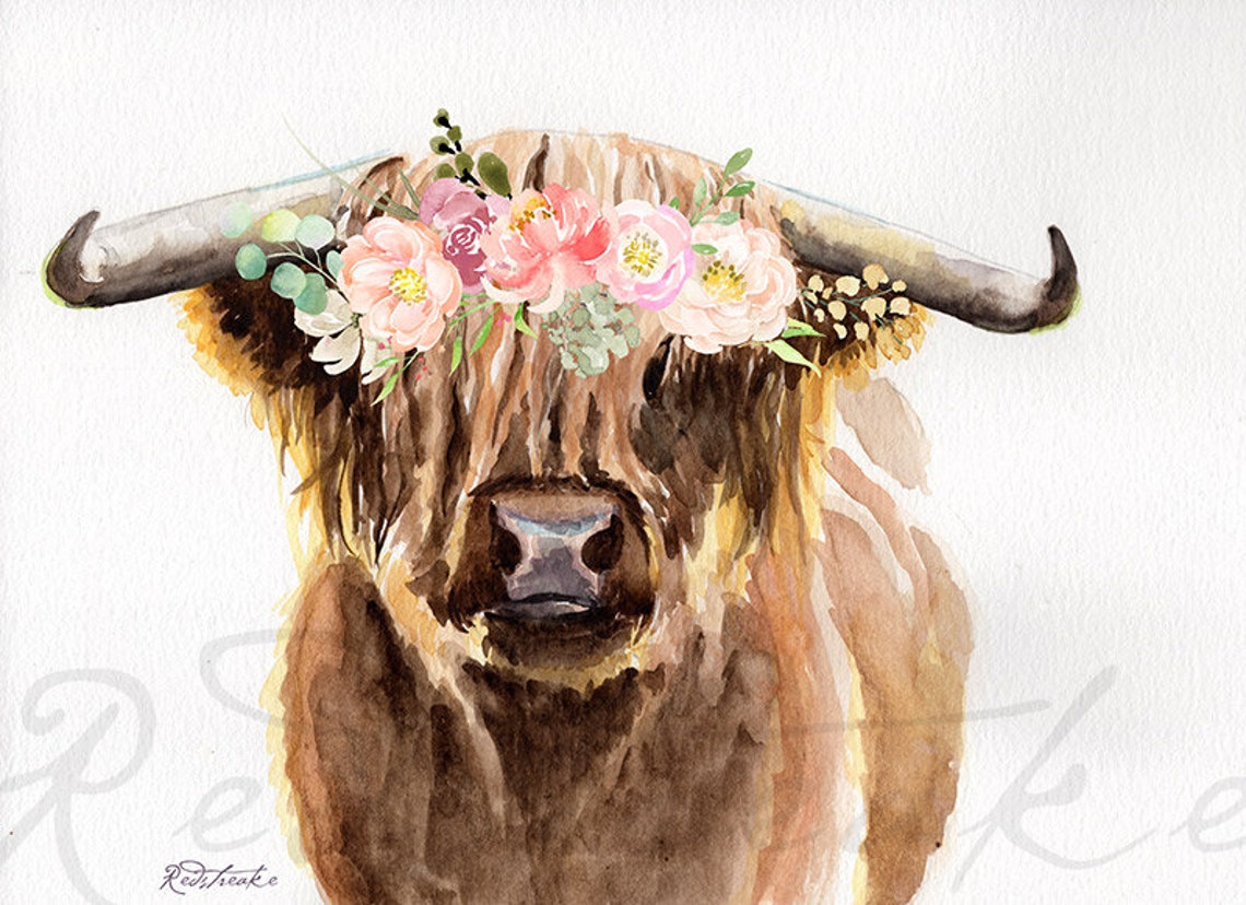8 x 10 inch Highland cow Art Print cow watercolor painting | Etsy