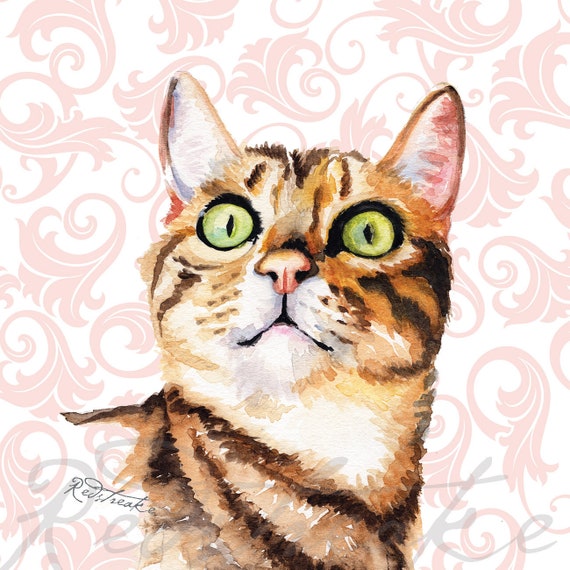 8 X 8 Inch Ornate Background Cat Art Print Watercolor Etsy