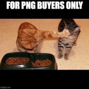 135+ Modern Luxury Home Interior - Instagram Backgrounds - Colors: Gold