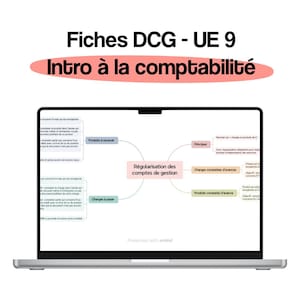 DCG UE 9 - 16 cartes mentales d’introduction à la comptabilité