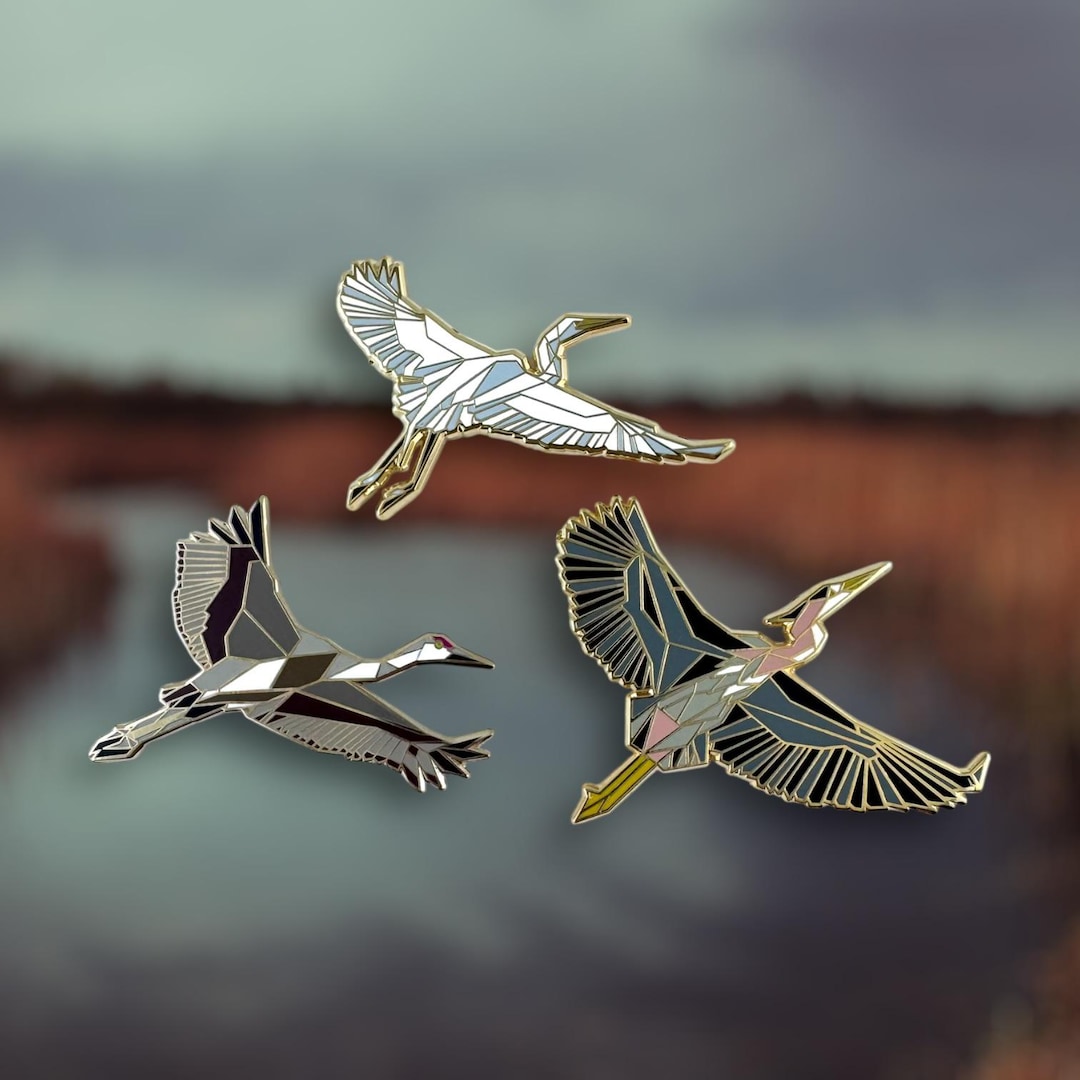 Wetland Birds Pin Set - Bird Gifts, Gift for Birdwatcher, Bird Pins ...