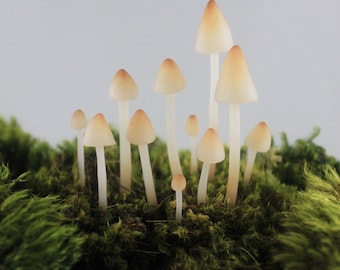 Terrarium Figurines,Realistic Translucent Mushroom Terrarium Decoration,10 clay mushrooms,terrarium accessories,miniature fairy garden