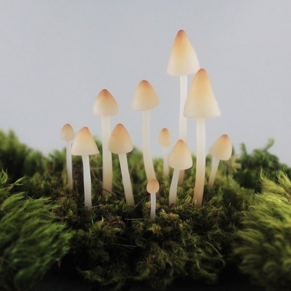 Terrarium Figurines,Realistic Translucent Mushroom Terrarium Decoration,10 clay mushrooms,terrarium accessories,miniature fairy garden