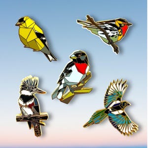 Belted Kingfisher Enamel Pin – Bird Lover Gift, Bird Watching Pin, Wildlife Pin, Backyard Bird Gift, Nature Lover Pin image 9