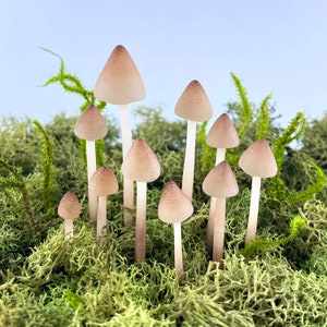 Terrarium Figurines,Realistic Translucent Mushroom Terrarium Decoration,10 clay mushrooms,terrarium accessories,miniature fairy garden
