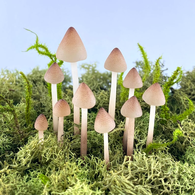 Terrarium Figurines,Realistic Translucent Mushroom Terrarium Decoration,10 clay mushrooms,terrarium accessories,miniature fairy garden image 1