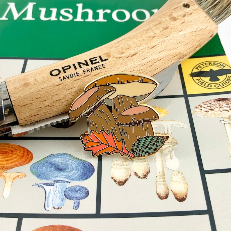 Spilla in smalto duro con fungo porcino reale, regalo per micofili immagine 1