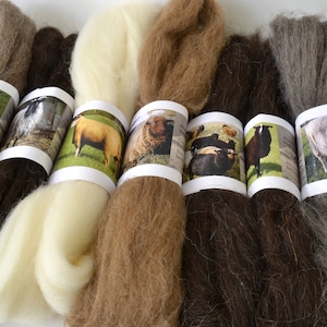 40 Sheep Breed Study Samples Combed Top Wool Fibre 1 kilo image 4