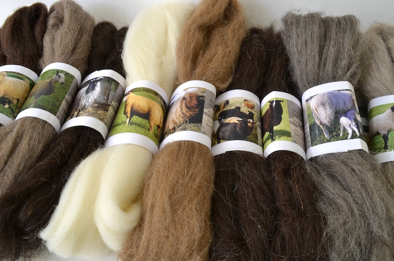 40 Sheep Breed Study Samples Combed Top Wool Fibre 1 kilo image 4