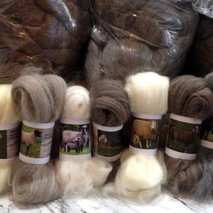 40 Sheep Breed Study Samples Combed Top Wool Fibre 1 kilo image 3