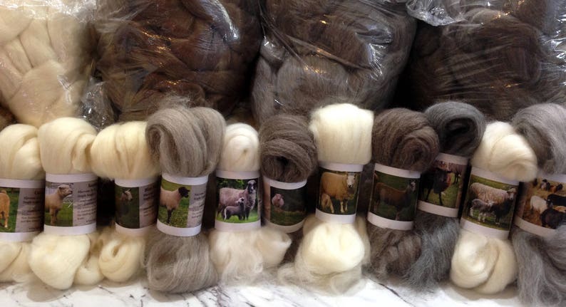 40 Sheep Breed Study Samples Combed Top Wool Fibre 1 kilo image 3