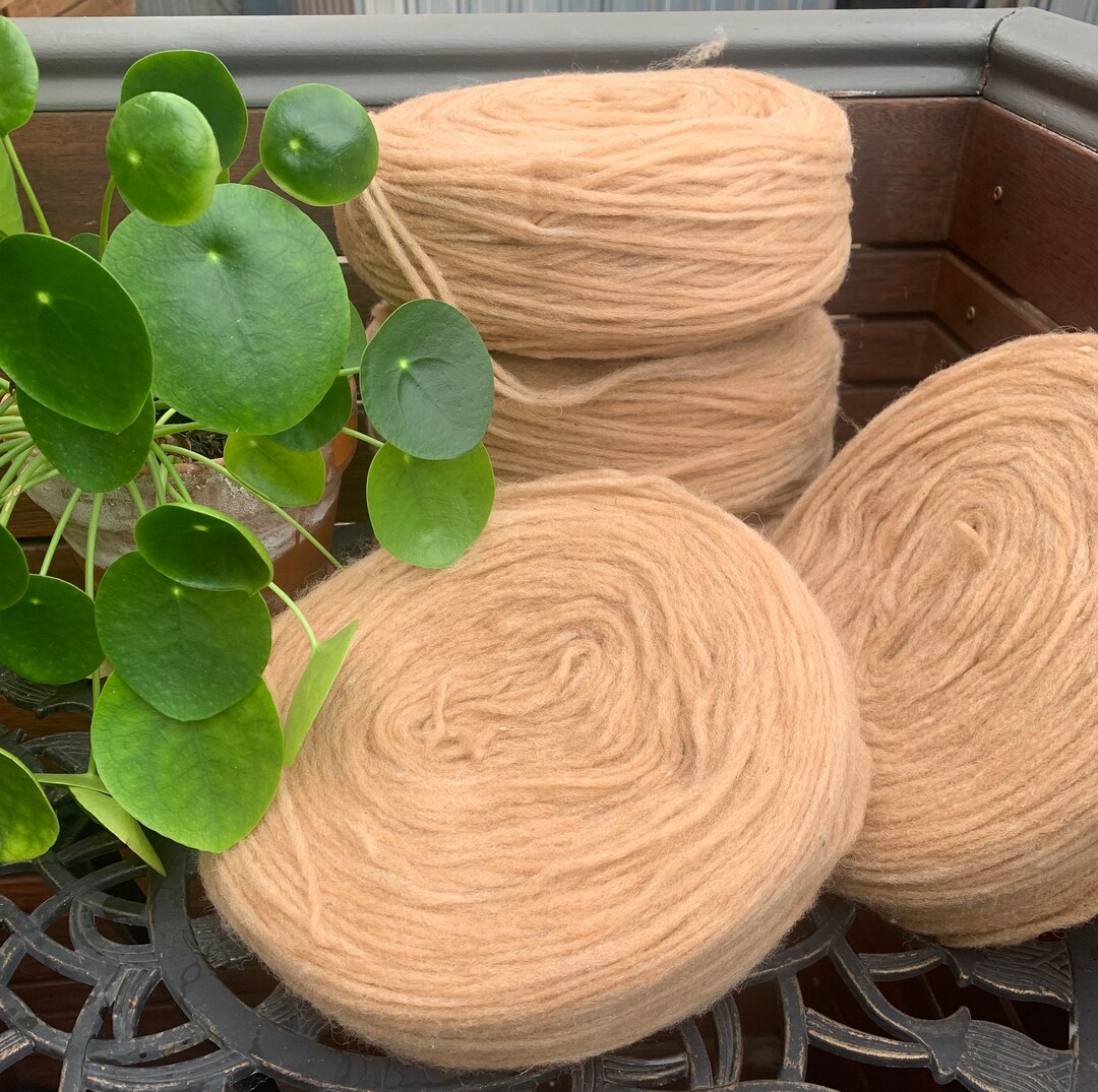 Unspun Yarn Plates Beige Pencil Roving Wool for Knitting Etsy