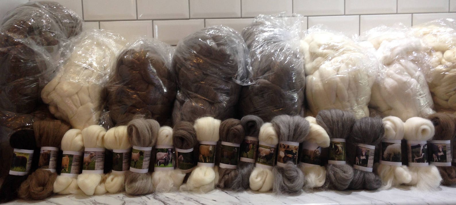 Sheep Samples 20 Sheep Breed Study Samples - Combed Top Wool Fibre - Etsy