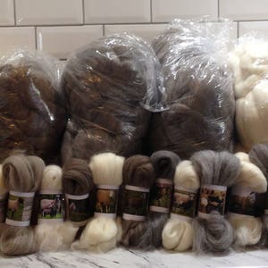 40 Sheep Breed Study Samples Combed Top Wool Fibre 1 kilo image 2