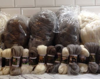 20 Sheep Breed Study Samples - Combed Top Wool Fibre