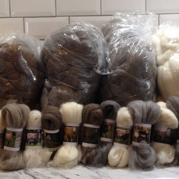 20 Sheep Breed Study Samples - Combed Top Wool Fibre