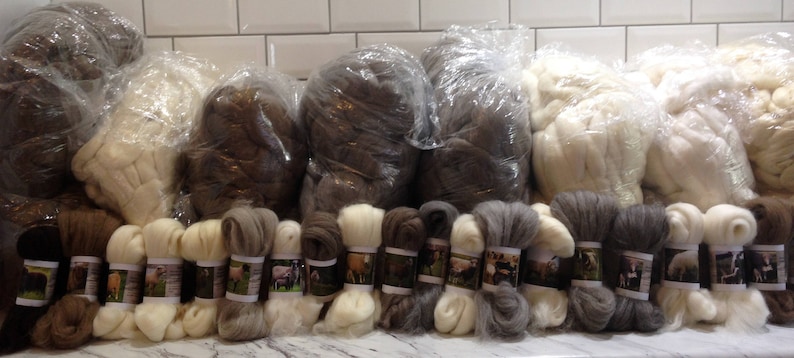 40 Sheep Breed Study Samples Combed Top Wool Fibre 1 kilo image 2