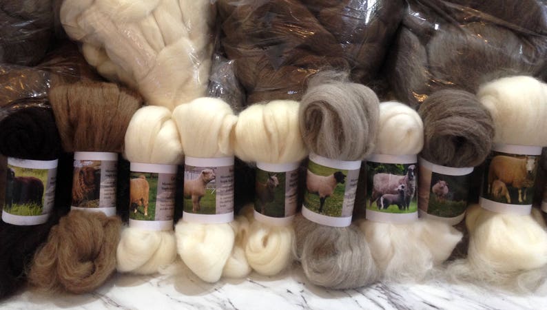 40 échantillons d'étude de race ovine Fibre de laine peignée 1 kilo image 5