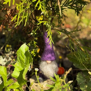 May include: A needle-felted gnome figurine featuring a tall, pointed purple hat and a long, textured grey beard. The gnome is holding a small, round orange pumpkin in one hand and is positioned among green foliage and small yellow flowers.