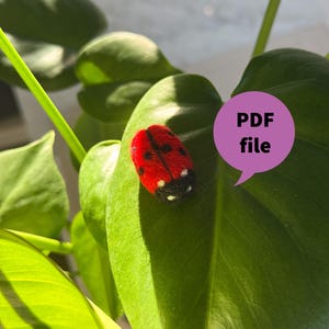 Può includere: Una coccinella rossa con pois neri e dettagli bianchi, posata su una grande foglia verde. L'immagine include una nuvoletta viola con il testo "PDF file".