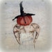 see more listings in the Merrye Hallows Eve section