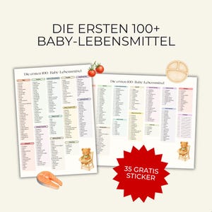 May include: Two white informational charts titled DIE ERSTEN 100+ BABY-LEBENSMITTEL featuring lists of baby food categories, a small illustration of a teddy bear in a high chair, a salmon fillet, two tomatoes, and a beige divided plate.