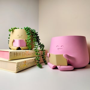 Puede incluir: Dos macetas de cerámica rosa y beige con forma de personas, con caras sonrientes, sosteniendo libros. La maceta más pequeña tiene una planta suculenta verde creciendo dentro. Las macetas están sobre una pila de dos libros con los títulos "Her Radiant Grace" y "Crimson Throne".