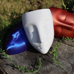 May include: Three ceramic face planters in blue, white and red. The planters are arranged on a tree stump with green foliage.
