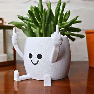 May include: White ceramic planter shaped like a person with arms raised in a middle finger gesture. The planter has a smiling face and is holding a green succulent plant.