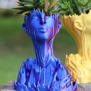 May include: Two decorative head-shaped planters, one blue and one yellow, each holding a succulent plant. The blue planter has a face with detailed features and a textured, flowing design. The yellow planter is next to it, with a similar design. The planters are on a wooden surface.