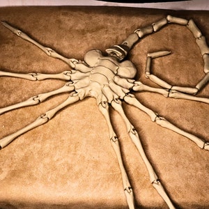 May include: A detailed model of an alien creature with a segmented body and eight long, jointed legs. The creature is made of a light beige material and is posed on a brown surface.