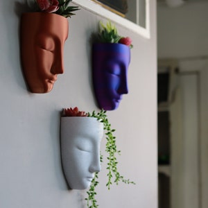 May include: Three wall-mounted planters shaped like faces, each with a different colour and a small succulent plant inside. The planters are made of ceramic and have a smooth, matte finish. The colours are a deep red, a vibrant purple, and a white.
