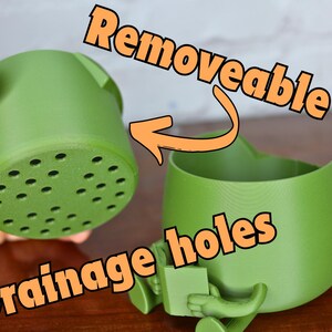 May include: Two green plastic pots, one with a removable inner pot with drainage holes. The inner pot has a removable bottom with drainage holes. The outer pot has a removable bottom with drainage holes. The text "Removable pot" and "Drainage holes" is written on the image.
