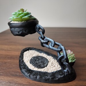 May include: A black planter with a chain design, holding two small succulents. The base is avocado-shaped, filled with sand and a central black circle. The chain supports a floating pot with a green succulent.
