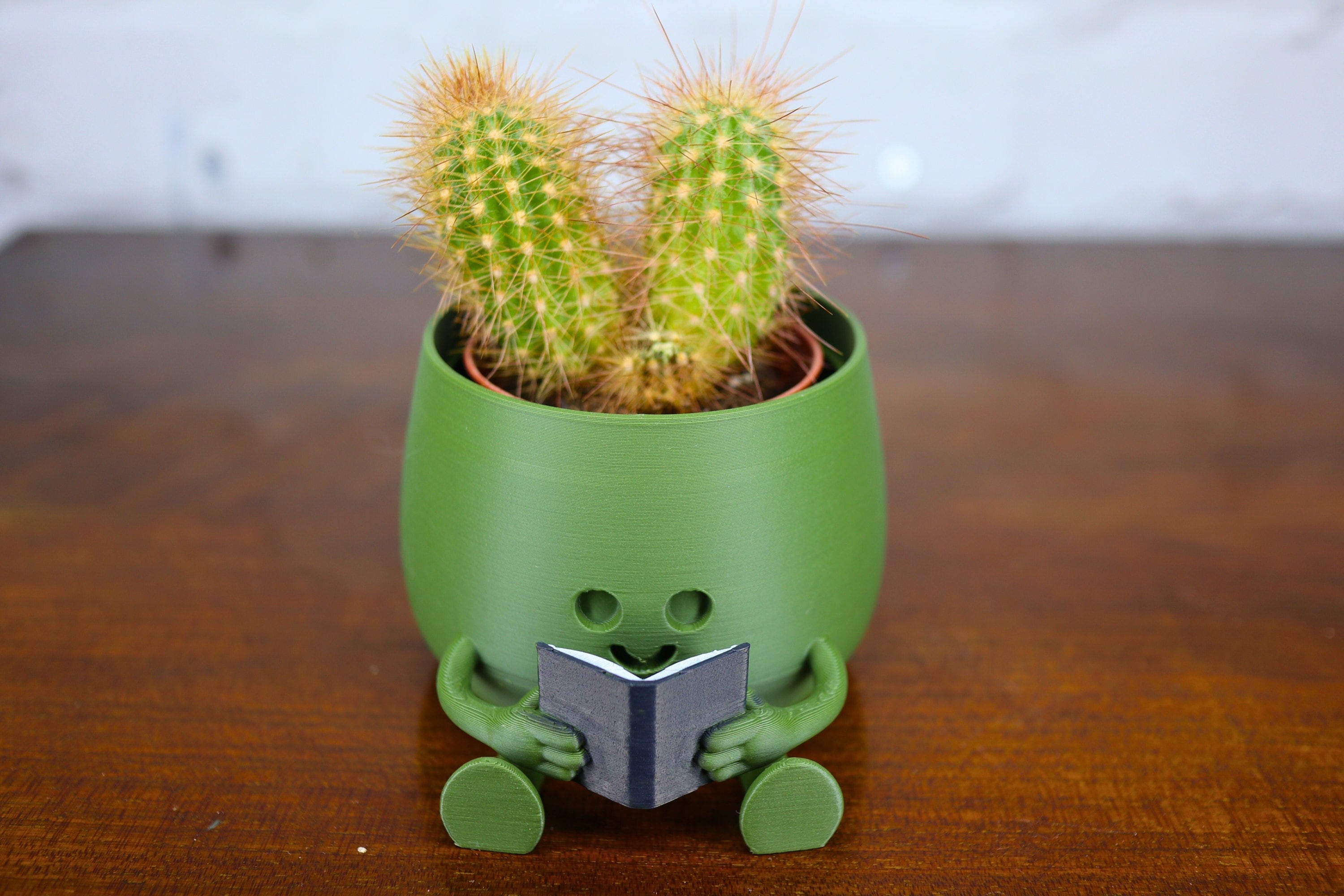 Official Happy face Planter! -Book Buddy - Book lover plant pot for small plants or succulents. Cute smiley face planter for book worms.
