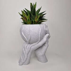 Puede incluir: Macetero de cer&aacute;mica blanca con forma de dos manos sosteniendo una maceta redonda con una planta suculenta verde.