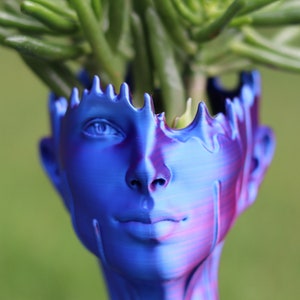 May include: A blue and purple face-shaped planter with a textured surface, holding a green succulent plant. The planter has a detailed face with a serene expression. The color transitions from blue to purple, creating a unique aesthetic.