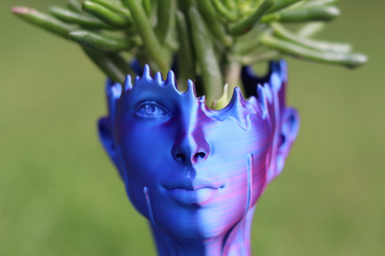 May include: A blue and purple face-shaped planter with a textured surface, holding a green succulent plant. The planter has a detailed face with a serene expression. The color transitions from blue to purple, creating a unique aesthetic.